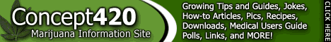 concept420.com